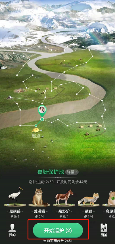 蚂蚁森林巡护动物如何换图3